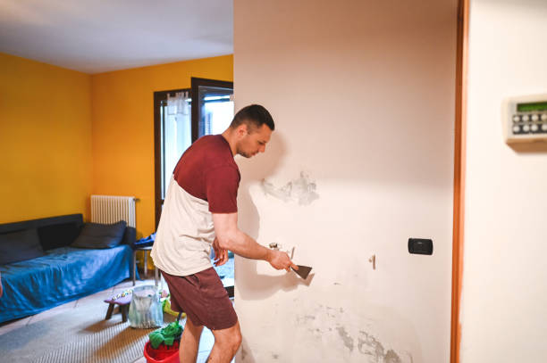Best Local Mold Removal Service  in Somersworth, NH